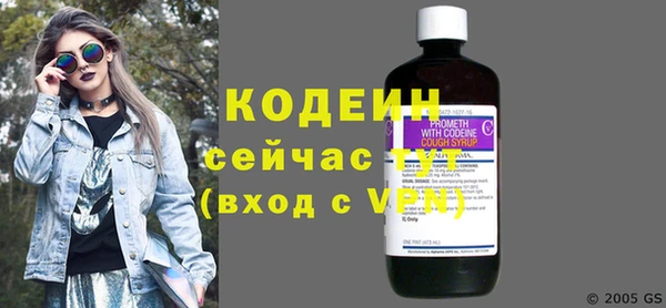 индика Осинники