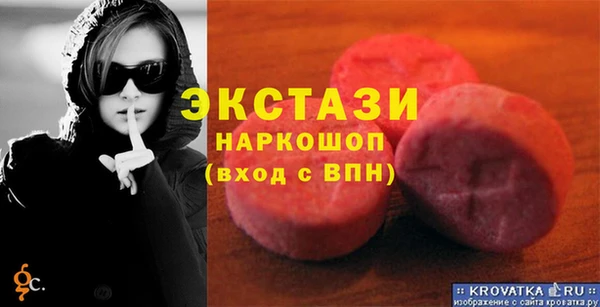 индика Осинники