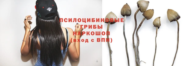 не бодяженный Богородицк