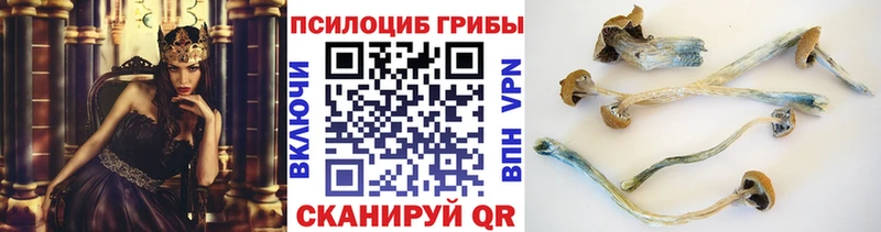 Галлюциногенные грибы Magic Shrooms  цены наркотик  Петропавловск-Камчатский 